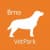 logo brno.jpg